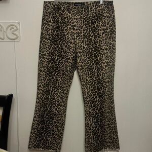 Just Black Denim Women's multi Jeans